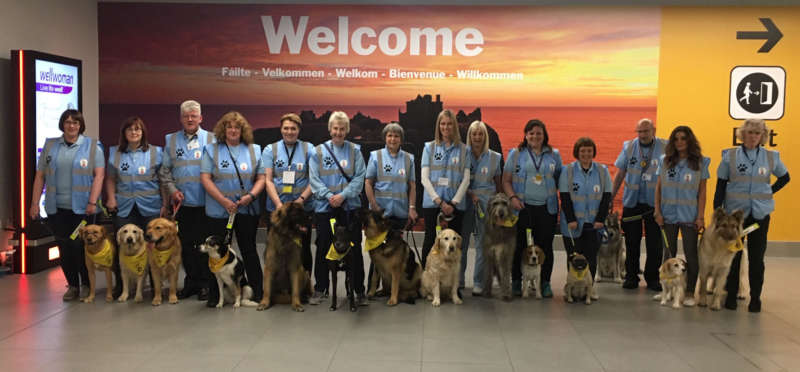 Therapet At Airport