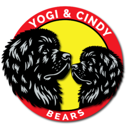 Yogi and cindy bears png